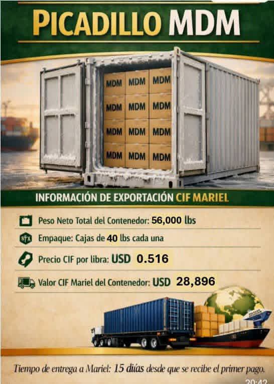 Contenedor Mixtos por Importación  6